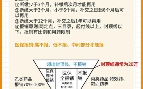 社保全解析：五险护航，安享无忧生活