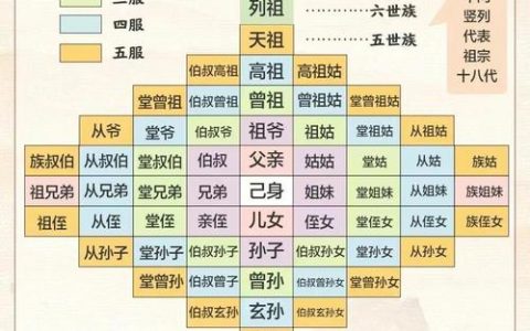 直系亲属范围解析：法律定义与生活应用全攻略